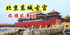 轮奸黑丝咪咪爱中国北京-东城古宫旅游风景区